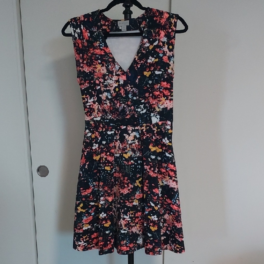 Belle Sky Multicolor Floral Mini Dress